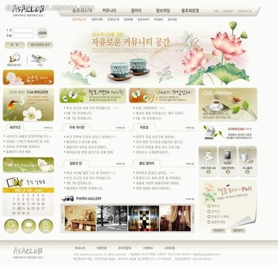 韓國ASA俱樂部網(wǎng)站PSD模版 打造動感活力的專業(yè)網(wǎng)頁與網(wǎng)站設(shè)計